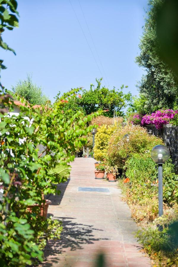 Villa Erade Casamicciola Terme Exteriör bild