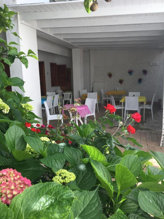 Villa Erade Casamicciola Terme Exteriör bild